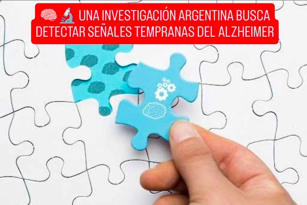 🧠🔬 INVESTIGACIÓN ARGENTINA APORTA NUEVAS PISTAS PARA EL DIAGNÓSTICO TEMPRANO DEL ALZHEIMER